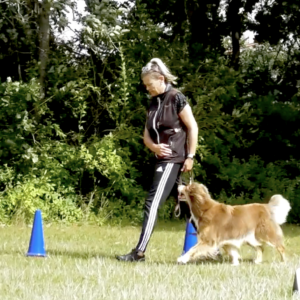 Her er Marianne igang med at vise hvordan man træne sin hund op til Rally mix konkurrence