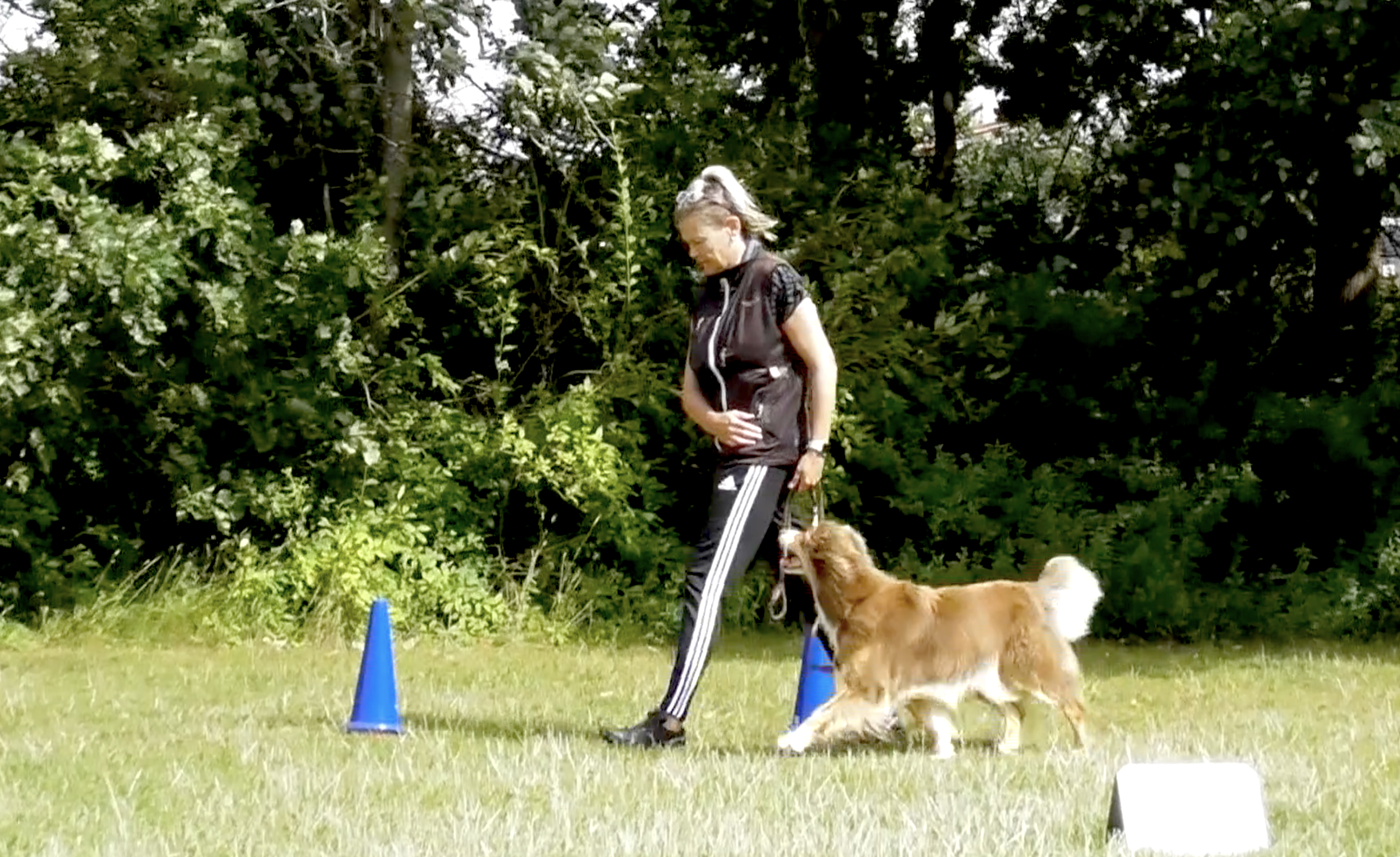 Her er Marianne igang med at vise hvordan man træne sin hund op til Rally mix konkurrence